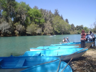  Boats for groups 